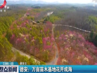 德安：万亩苗木基地花开成海