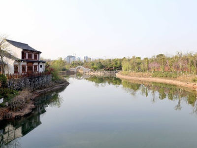 刘建中调研萍水湖湿地公园项目建设