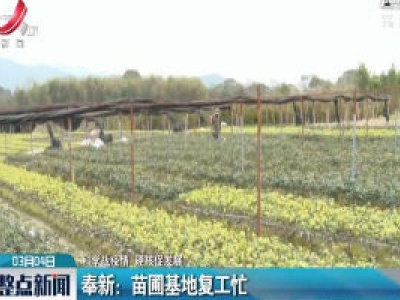 【科学战疫情 硬核促发展】奉新：苗圃基地复工忙