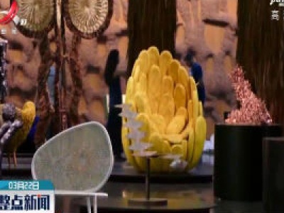 巴西举办回顾展 再现“坎帕纳兄弟”经典家具