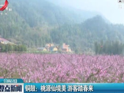 铜鼓：桃源仙境美 游客踏春来