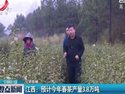 江西：预计2020年春茶产量3.8万吨