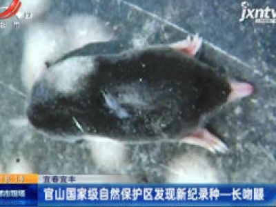 宜春宜丰：官山国家级自然保护区发现新纪录种—长吻鼹