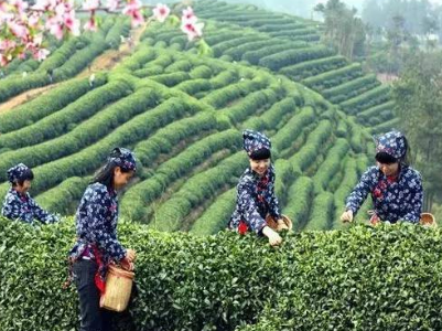 幸福等不来 拼搏才精彩——宁都决战决胜脱贫攻坚纪实