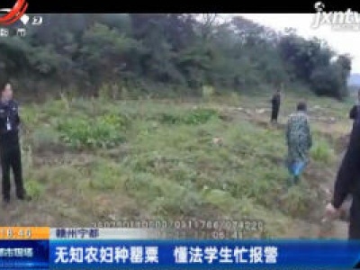 赣州宁都：无知农妇种罂粟 懂法学生忙报警