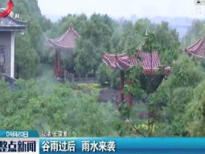 谷雨过后 雨水来袭