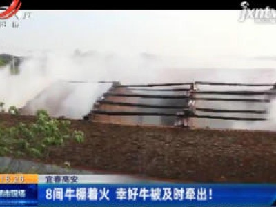 宜春高安：8间牛棚着火 幸好牛被及时牵出！