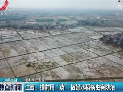 江西：提前用 “药” 做好水稻病虫害防治