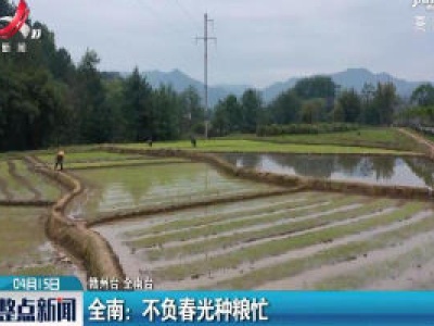 全南：不负春光种粮忙
