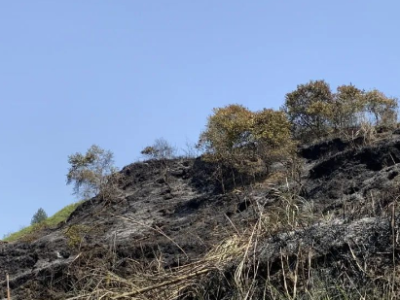 上饶一村民违规用火引发森林火灾 警方8小时破案