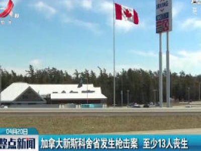 加拿大新斯科舍省发生枪击案 至少13人丧生