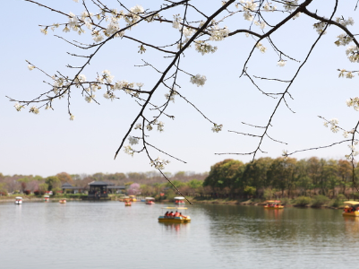 我省九成4A级旅游景区恢复开放