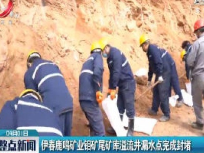 伊春鹿鸣矿业钼矿尾矿库溢流井漏水点完成封堵