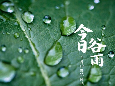 今日谷雨，你准备好迎接夏天了吗？