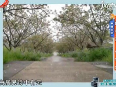 地宝当家20200409