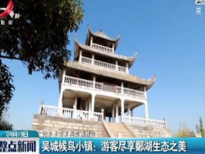吴城候鸟小镇：游客尽享鄱湖生态美
