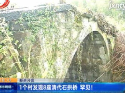 新余分宜：1个村发现8座清代石拱桥 罕见！