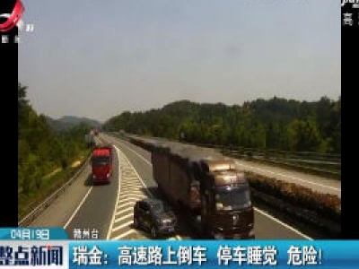 瑞金：高速路上倒车 停车睡觉 危险！