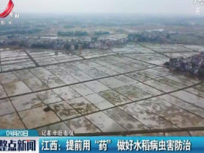 江西：提前用 “药” 做好水稻病虫害防治