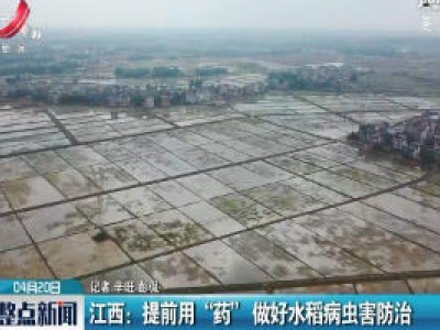 江西：提前用 “药” 做好水稻病虫害防治