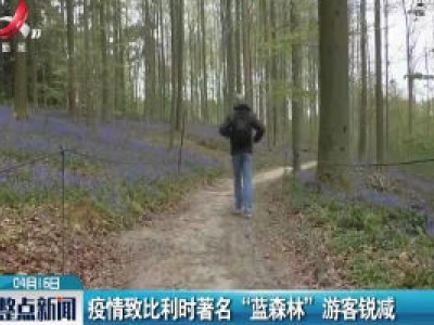 疫情致比利时著名 “蓝森林” 游客锐减