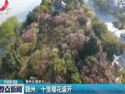 赣州：十里樱花盛开