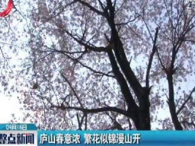 庐山春意浓 繁花似锦漫山开