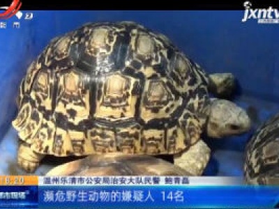 浙江乐清：宠物不是想养就能养 14名“龟友”被拘