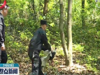 奉新：两只白鹇 “误闯” 民宅