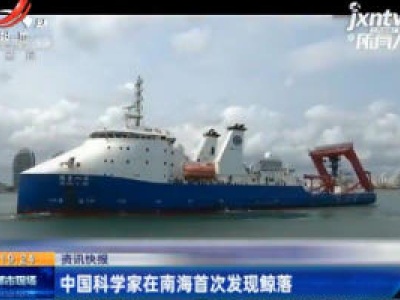  中国科学家在南海首次发现鲸落