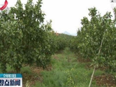 整点新闻20200403 16:00