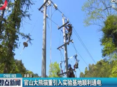 宜春：官山大熊猫重引入实验基地顺利通电
