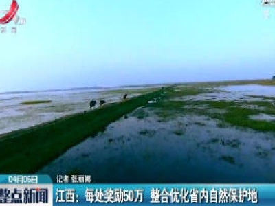整点新闻20200406 12:00