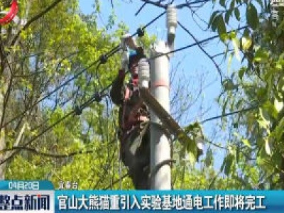 官山大熊猫重引入实验基地通电工作即将完工