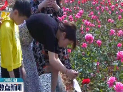 整点新闻20200427 14:00