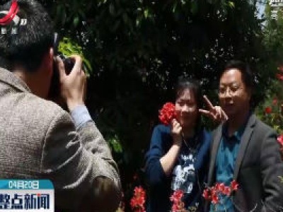 泰和：野生杜鹃红了
