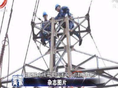 海南：高压线上的人工鸟巢