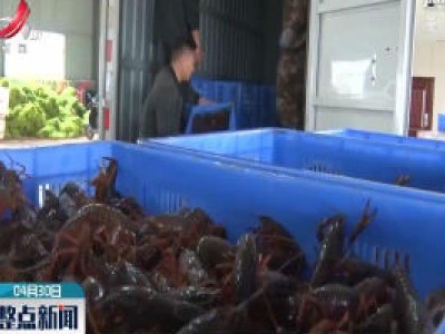 鄱阳县：小龙虾市场回暖 日交易量超过7万斤