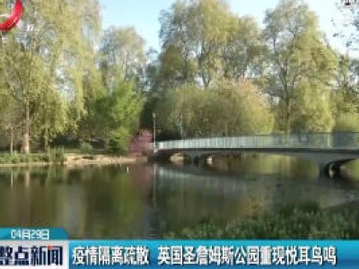 疫情隔离疏散 英国圣詹姆斯公园重现悦耳鸟鸣