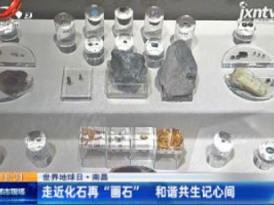 【世界地球日】南昌：走近化石再 “画石” 和谐共生记心间