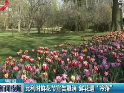 比利时鲜花节宣告取消 鲜花遭“冷落”