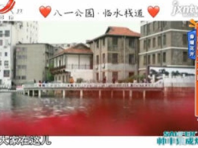地宝当家20200427