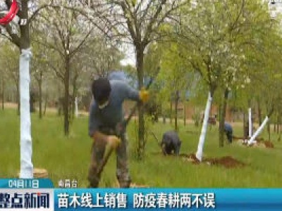 南昌：苗木线上销售 防疫春耕两不误