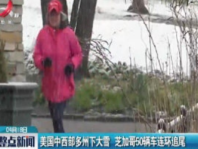 美国中西部多州下大雪 芝加哥50辆车连环追尾