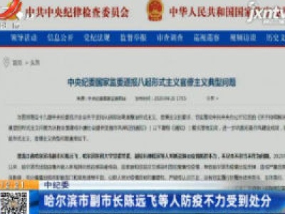 中纪委：哈尔滨副市长陈远飞等人防疫不力受到处分