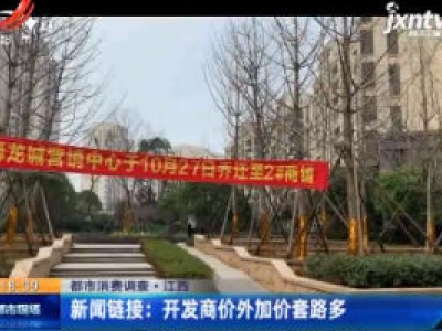 【都市消费调查·江西】新闻链接：开发商价外加价套路多