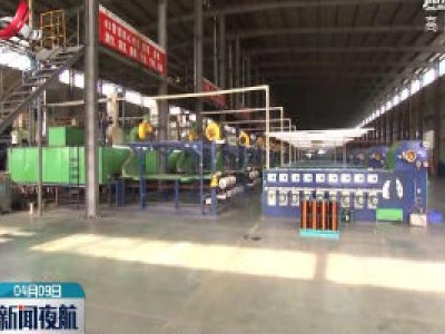 吴忠琼调研江西省铜产业发展情况