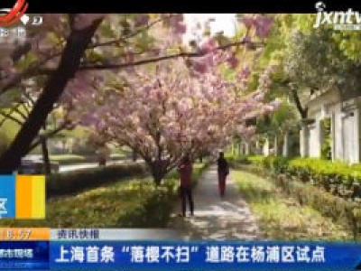 上海首条“落樱不扫”道路在杨浦区试点