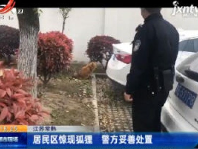 江苏常熟：居民区惊现狐狸 警方妥善处置