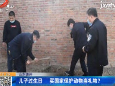 山东德州：儿子过生日 买国家保护动物当礼物？